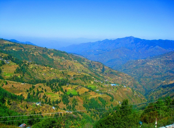 blog-image